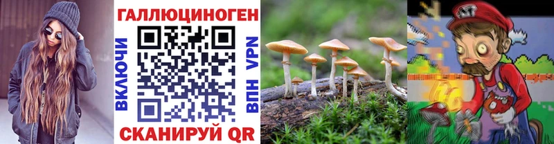 Купить закладки  Барнаул  Псилоцибиновые грибы мицелий 